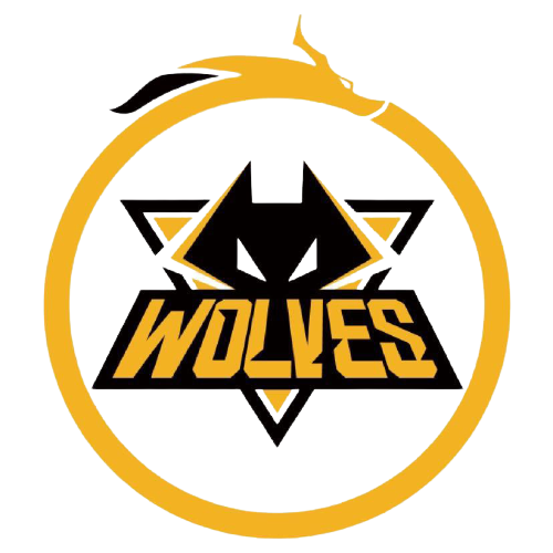 没有太多情 没有太多情