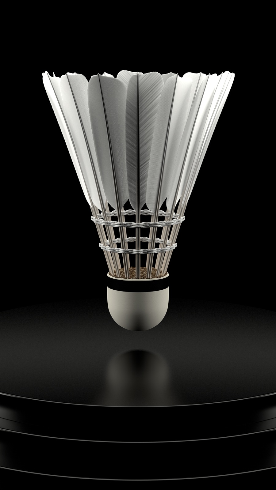 他以单轮6 他以单轮6